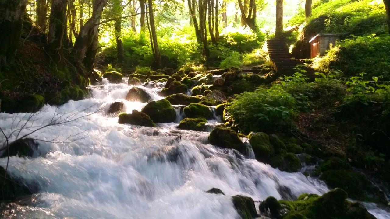 Hotel Ravnjak Dobrilovina Экстерьер фото