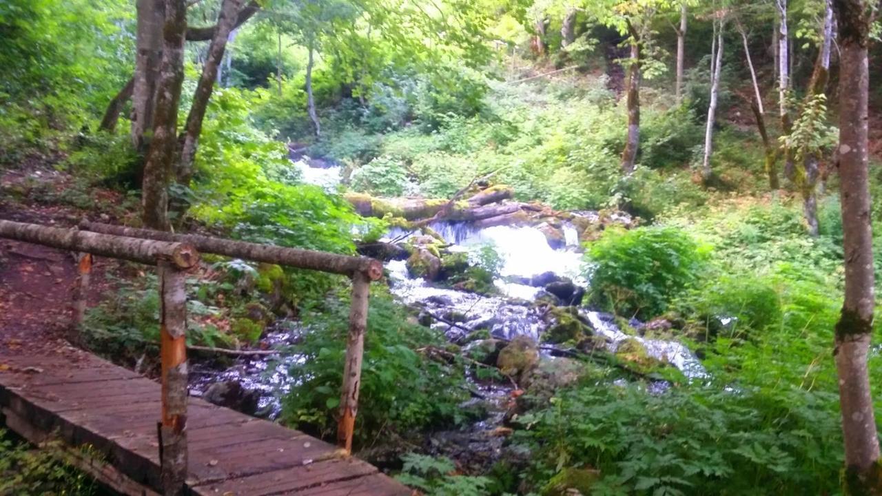 Hotel Ravnjak Dobrilovina Экстерьер фото